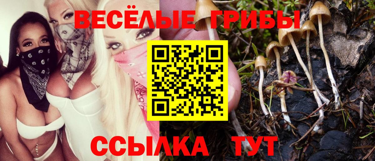 Псилоцибиновые грибы Cubensis  Галлюциногенные грибы Psilocybe  купить закладку  Вход с VPN  Артём 